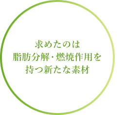 求めたのは脂肪分解・燃焼作用を持つ新たな素材