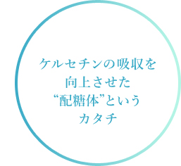 ケルセチンの吸収を向上させた“配糖体”というカタチ