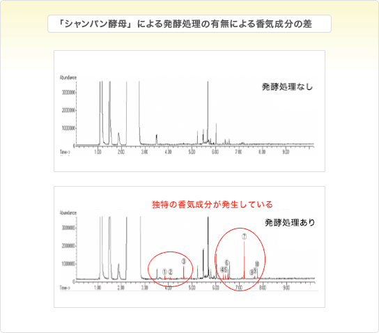 「シャンパン酵母」による発酵処理の有無による香気成分の差のグラフ