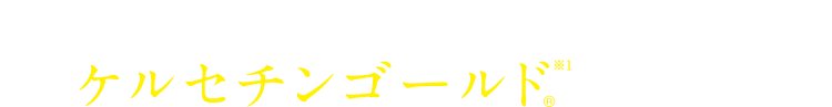 体脂肪の低減が認められた ケルセチンゴールド※1のチカラ
