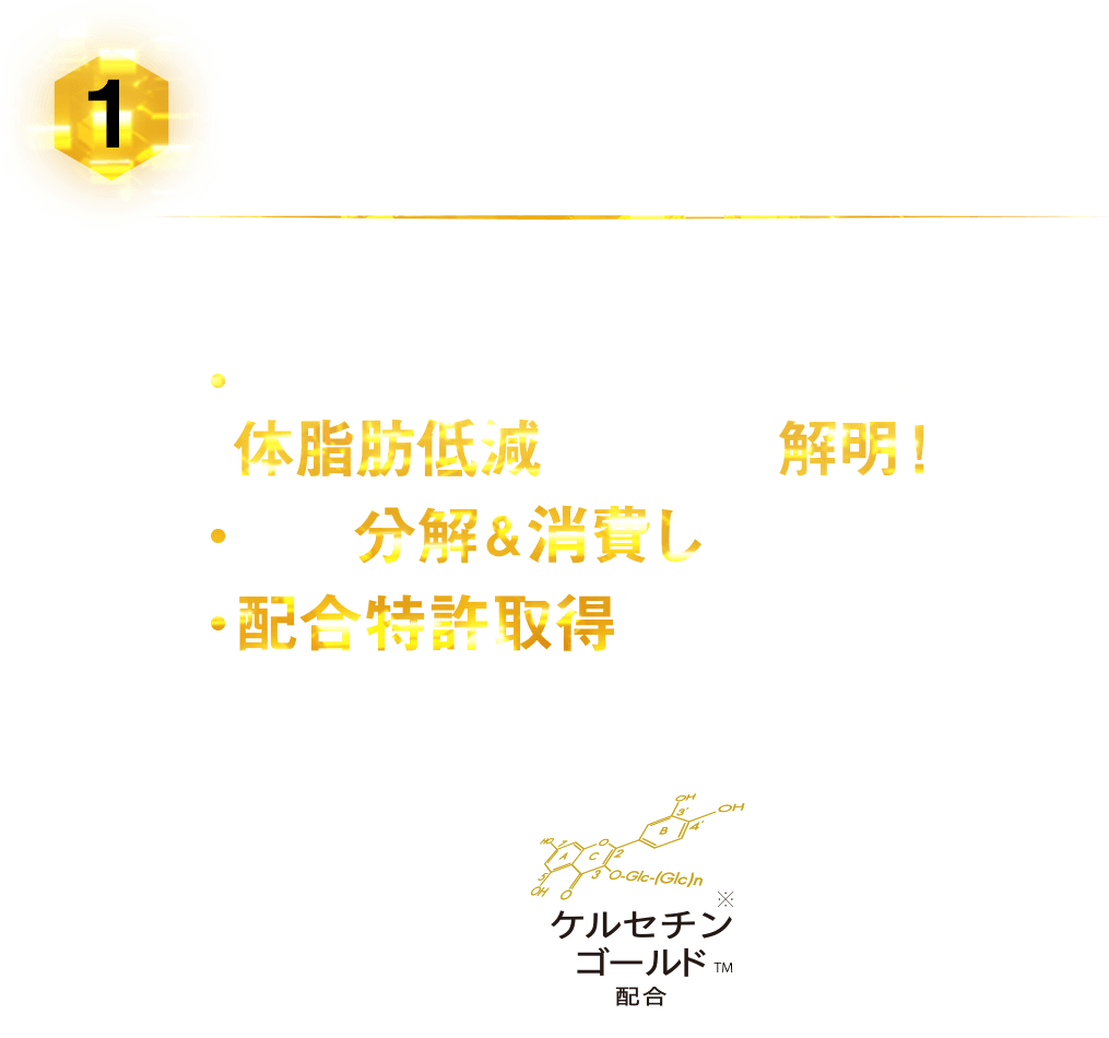 [1] 特別成分　「ケルセチンゴールド」配合 ケルセチンゴールド※とは？・サントリーの研究により、 ケルセチン配糖体の体脂肪低減メカニズムが解明！・脂肪を分解＆消費しエネルギーに変換・配合特許取得成分（特許第6463312号） ※ケルセチン配糖体を指す、サントリーの呼称です。