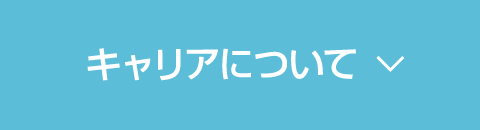 キャリアについて""