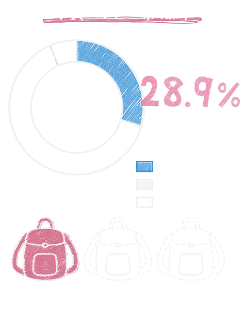 グラフ　防災バッグの常備率