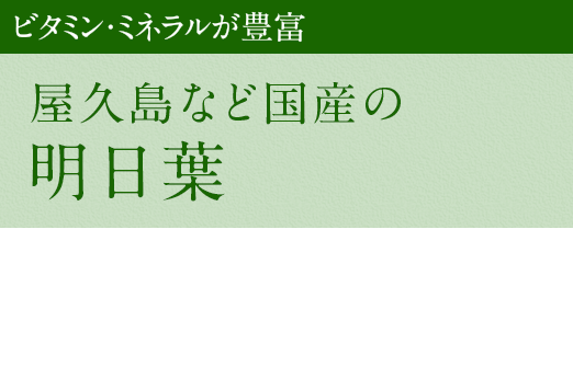 ビタミン・ミネラルが豊富：屋久島など国産の明日葉