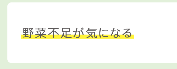 野菜不足が気になる