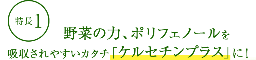 特長1：野菜の力、ポリフェノールを吸収されやすいカタチ「ケルセチンプラス」に！