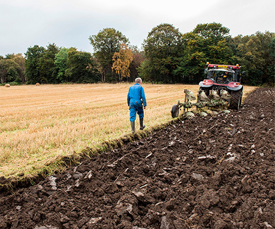 Farmer James in a Field With a Plough