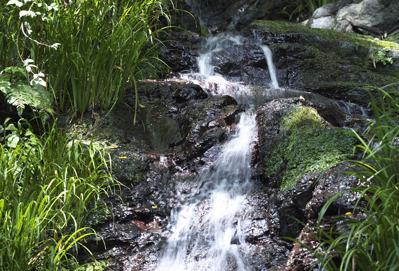 水無瀬の滝の画像