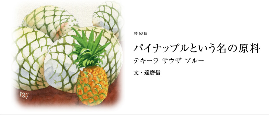 第63回 パイナップルという名の原料 テキーラ サウザ ブルー 文・達磨信